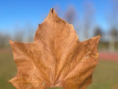 -瀛海足球主题公园