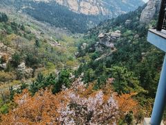-崂山巨峰游览区