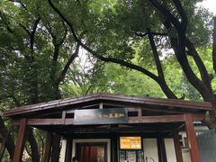 -马王堆汉墓遗址