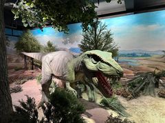 -国家自然博物馆