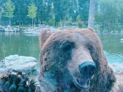 -北京野生动物园