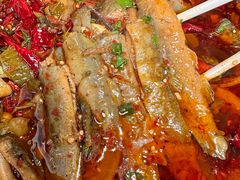 -情妹耙泥鳅·江湖川菜(科华店)