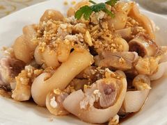 -百利鸽王(紫薇路店)