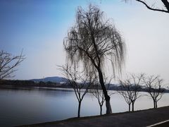 -羊山湖公园