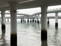 -演武大桥观景平台