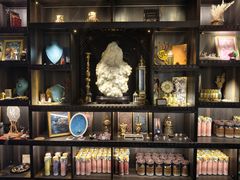 -雪灵魔法世界SHELLY’S TAROT(大良桂畔里店)