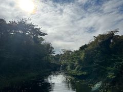 -济州森林小火车生态公园