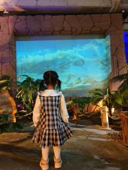 -恐龙探索乐园(磁器口店)