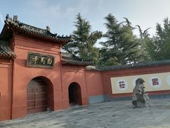 -洛阳白马寺