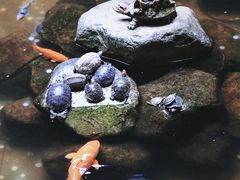 -楠溪江风景名胜区