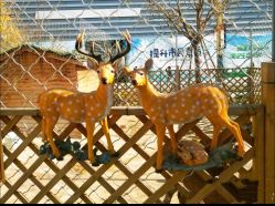 -萌宠亲子动物乐园(槐房万达店)