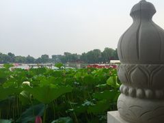 -小王府(什刹海店)