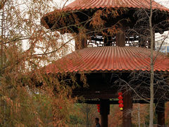 -五缘湾湿地公园