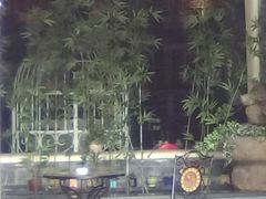 -红鼎坊·老成都火锅(新南门店)
