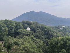 -紫金山天文台
