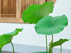 -龙华寺