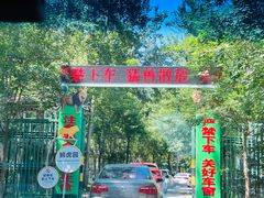 -秦皇岛野生动物园