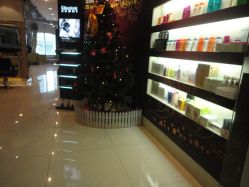 DSC00480_副本-美秀造型