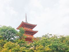 -哈利波特魔法世界