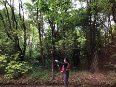 -动邦皮划艇·桨板·独木舟·团建户外运动俱乐部