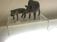 -旅顺博物馆