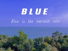 -广东惠东海龟国家级自然保护区