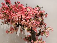 -双季花艺园艺市场(浦东店)