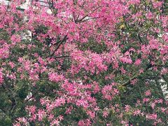 -福州大学(旗山校区)