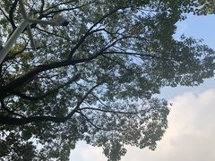 -浙江万里学院(钱湖校区)