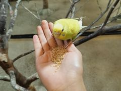-上海大自然野生昆虫馆(东方明珠·爬宠昆虫探索中心)
