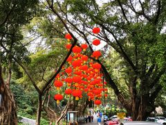 -晓港公园