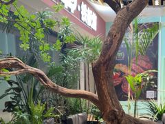 -大神太神·铁板烧(七宝领展广场店)