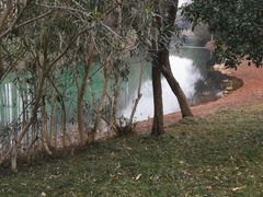 景点-贡湖湾湿地公园