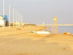 -碧海金沙