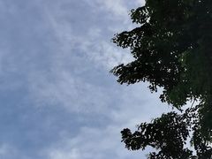 -北海银滩一号国际会议中心酒店