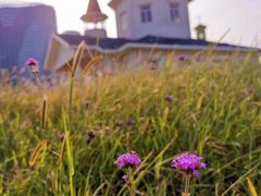 -东戴河风景区-止锚湾