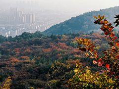 -府君山公园