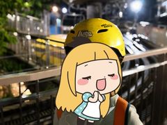 -圣淘沙天际线斜坡滑车