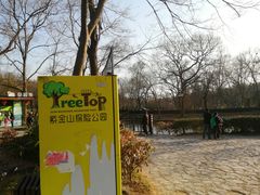 -灵谷景区