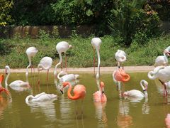 -杭州野生动物世界