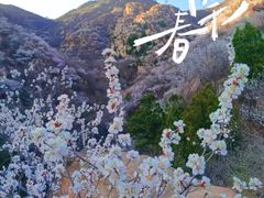 -北京凤凰岭