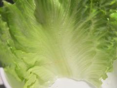 -奉天小馆·非遗东北菜(济南万象城店)