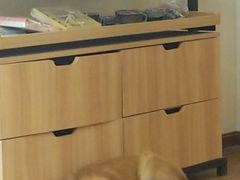 -兰纳泰式spa(古城店)