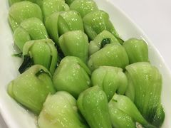 -雪园上海饭店(港湾1号店)