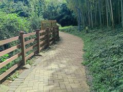 -苏州河梦清园环保主题公园