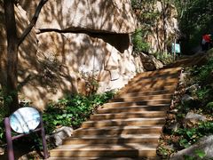 -大岭沟猕猴桃谷风景区
