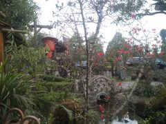 -青城甲(青城山店)