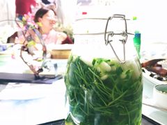 有机豆苗养生菌-东方御花园酒店