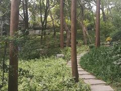 -汇龙潭