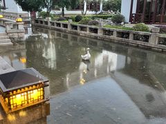 -苏州吴宫泛太平洋酒店